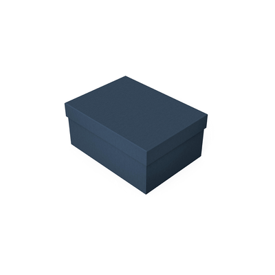 Mėlyna dėžutė su dangteliu XL dydis