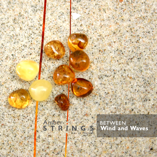 Amber STRINGS „Between wind and waves“ parfumuotas vanduo 100 ml