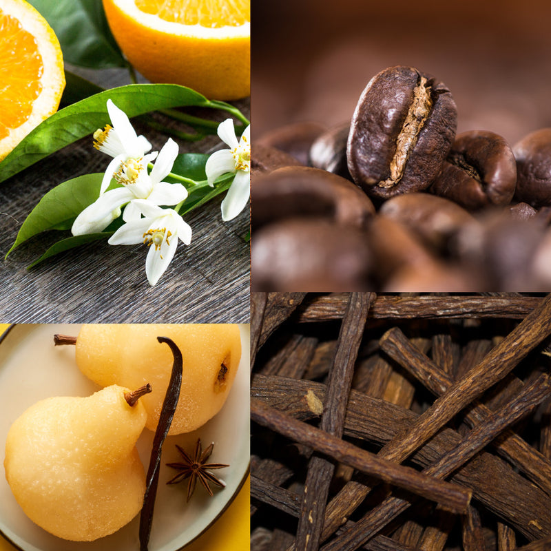 Home fragrance with sticks Design Vanilla arabica 600 ml