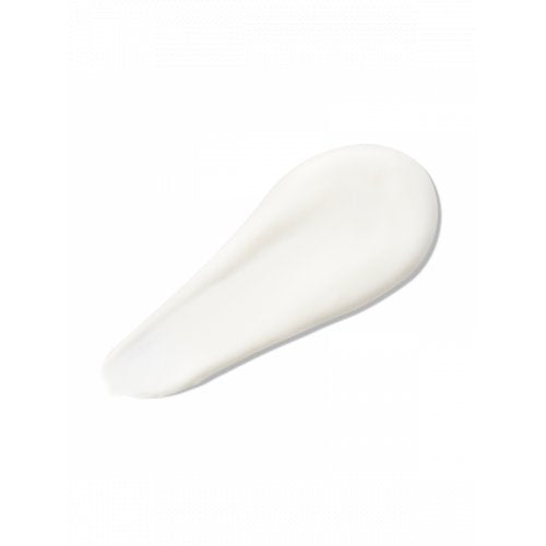 Hydrating Melting Mask Drėkinanti plaukų kaukė su alijošiumi