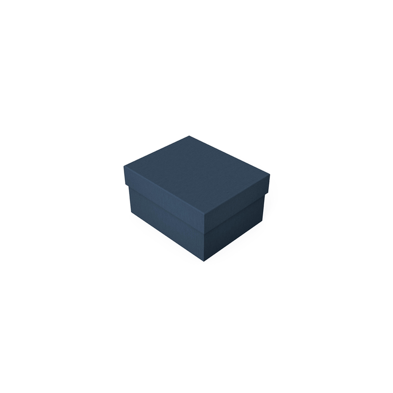 Mėlyna dėžutė su dangteliu L dydis