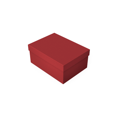 Raudona dėžutė su dangteliu XL dydis
