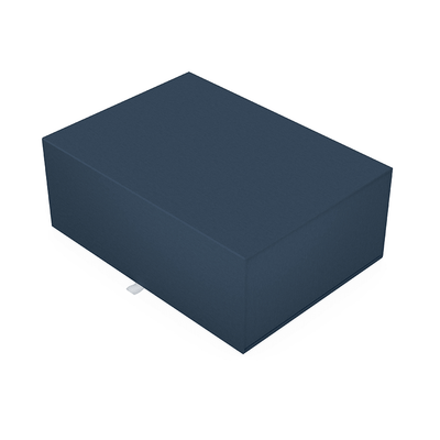 Mėlyna dėžutė su magnetuku XXL dydis